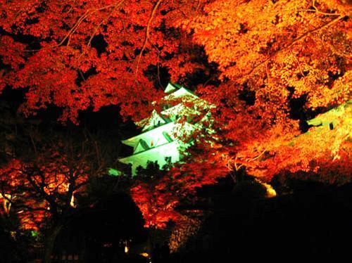 Asano Ryokan Gujō Exterior foto